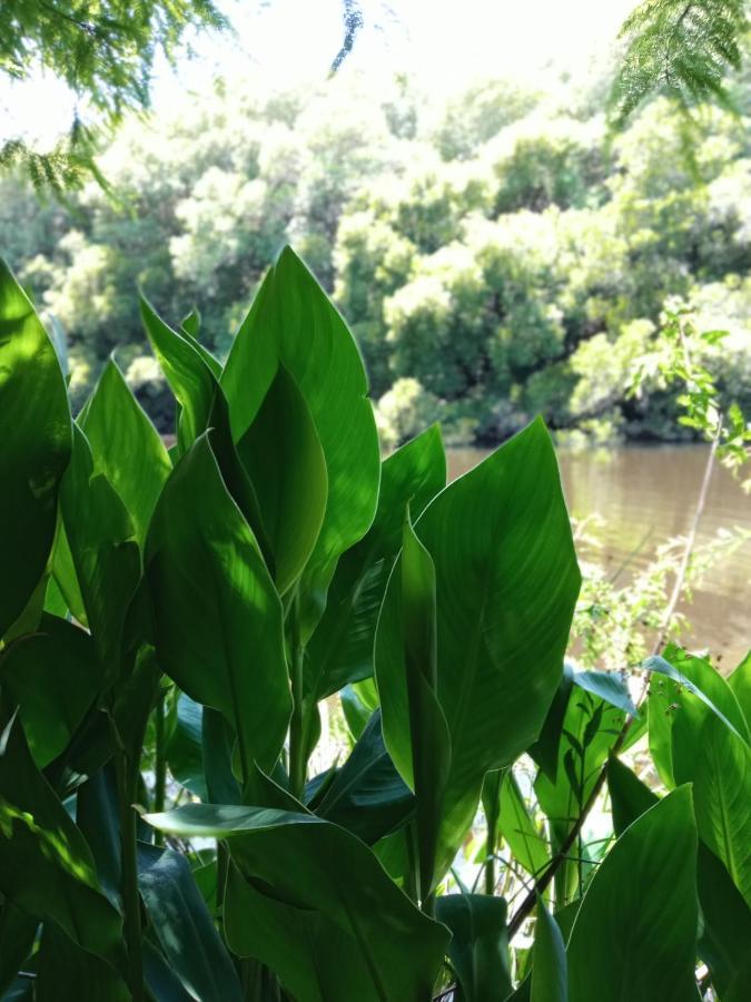 RiachueloPilmaiquen别墅 外观 照片