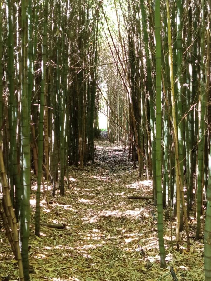 RiachueloPilmaiquen别墅 外观 照片